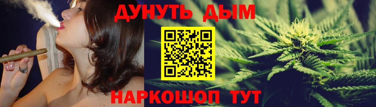 Конопля конопля  Вход с VPN  Бошки Шишки Bruce Banner  Канабис THC 21%  Кудрово  Каннабис сатива 